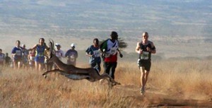 safaricom marathon